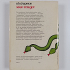 A. H. Chapman : Seksin strategiat - pikkukuva 2