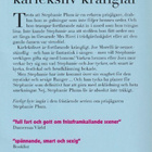 Janet Evanovich: Farligt byte - pikkukuva 2