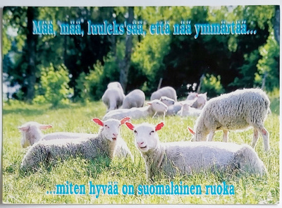 LAMPAITA-SUOMALAISEN RUOAN MAINOSKORTTI-KULKEMATON