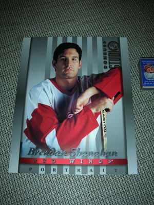 Donruss studio 6 Brendan Shanahan