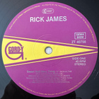 [12''] RICK JAMES: SWEET AND SEXY THING - pikkukuva 3