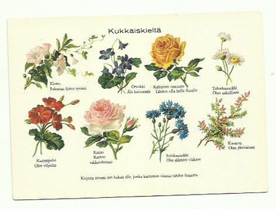Kukkaiskieltä...