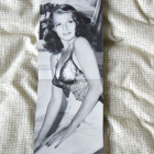 Ivy Crane Wilsonin toimittama Hollywood-albumi vuodelta 1956 - pikkukuva 5