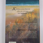 Judith Lennox : Jäljet rantahiekassa - pikkukuva 2