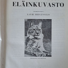 Maapallon eläinkuvasto. - pikkukuva 2