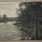 Puumala: Rantamaisema *** (1283) - pikkukuva 1
