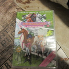 Heppajengi 2 (DVD) *UUSI* - pikkukuva 1