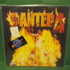 PANTERA - REINVENTING THE STEEL M-/M- 180G LP - pikkukuva 1