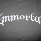 Bändipaita : Immortal - Sons of Northern Darkness XL - pikkukuva 2