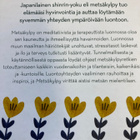 METSÄKYLPY Hyvinvointia luonnosta shinrin-yokun avulla - pikkukuva 2