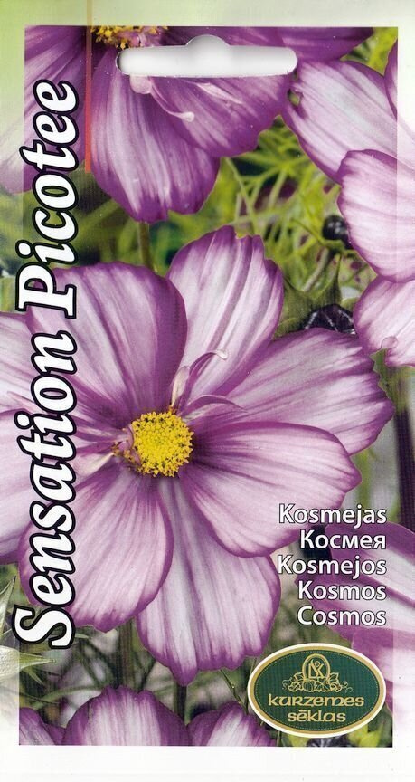 Punakosmos "Sensation Picotee" siemenet #
