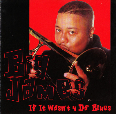 Big James & The Chicago Playboys: If It Wasn't 4 Da' Blues