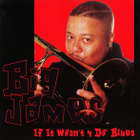 Big James & The Chicago Playboys: If It Wasn't 4 Da' Blues - pikkukuva 1