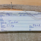 Hannu Lindholm "Talvi" - pikkukuva 4