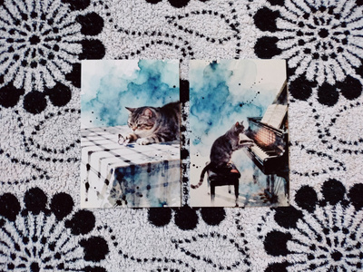~Kissa kortti~ 2kpl