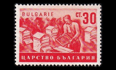 Bulgaria 416 ** Maatalous 30 St oranssi (1940)