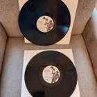 Bryan Adams – Waking Up The Neighbours LP (1991) - pikkukuva 4