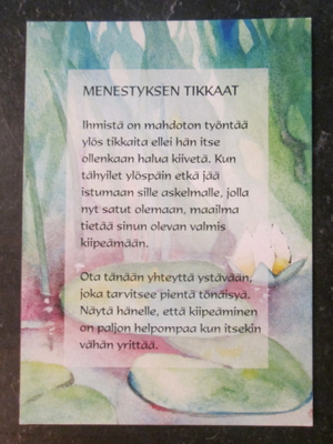 KULKEMATON MENESTYKSEN TIKKAAT ANITA POLKUTIE POSITIIVARIT