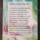 KULKEMATON MENESTYKSEN TIKKAAT ANITA POLKUTIE POSITIIVARIT - pikkukuva 1