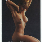 2003 Playboy Playmate of the Year #9 Donna Michelle - pikkukuva 2