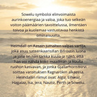 Sowelu ~ Riimujen viisaus -riipus - pikkukuva 3