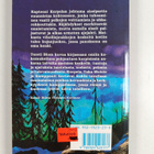 Torsti Blom : Hyökkäys tukikohtaan - pikkukuva 2