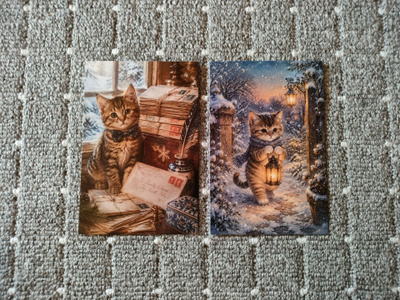 ~Kissa kortti~ 2kpl