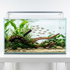Uniikki akvaariojuurakko 70 cm | nr39A - pikkukuva 2