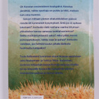 Tuula Kallioniemi : Konsta, eka A - pikkukuva 2