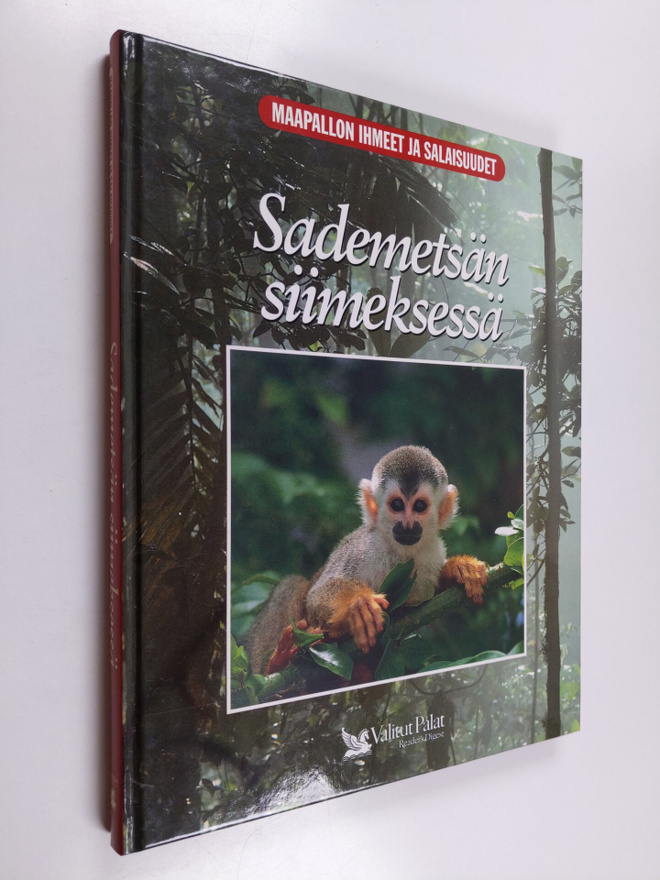 Linda Gamlin : Sademetsän siimeksessä