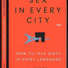 L. Brook: Sex in Every City: How to Talk Dirty in Every Lang - pikkukuva 1