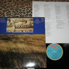 NEUMANN - Albion - LP 1986 EX - pikkukuva 2