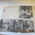 Viikko Sanomat n:o 48 1953 Joulukadun avajaiset Helsinki - pikkukuva 3