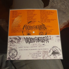 Valtioterrori: 5 biisin flexi - pikkukuva 2