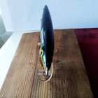 Rapala Floating 10cm - pikkukuva 3