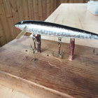 Finnlure 10,5cm - pikkukuva 2