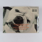 Iain Zaczek : Dog : a dog's life in art and literature - pikkukuva 2