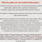Bo Norlin: Koko perheen korttipelit - pikkukuva 3