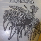 GRINGOS LOCOS KOEVEDOKSIA 1. LEVYN KANTEEN - pikkukuva 2