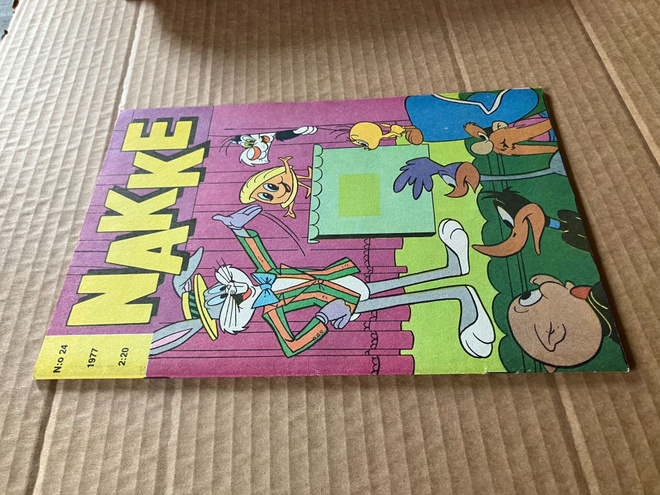 NAKKE 24/1977 HYVÄ