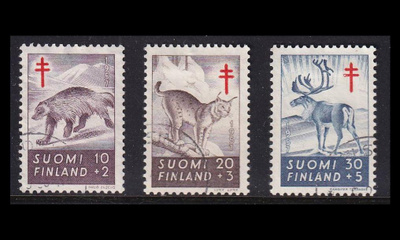 479-81 o Tuberkuloosi metsän eläimiä (1957)