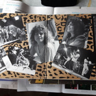 marc bolan tupla lp - pikkukuva 2