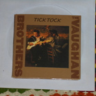 3" CDs VAUGHAN BROTHERS - Tick Tock - 1990 MINT- - pikkukuva 1