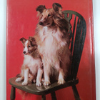 Angela Sayer : The world of dogs - pikkukuva 2
