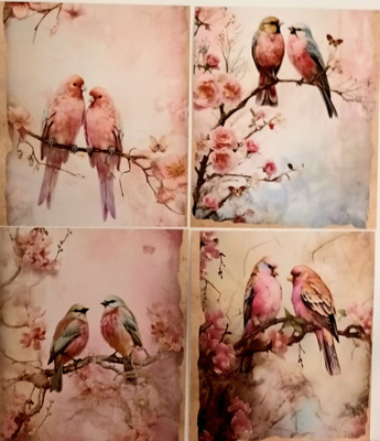 Kuviokartonki LINNUT / 4 kpl -setti / 13 x 15 cm
