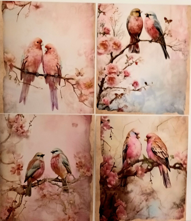 Kuviokartonki LINNUT / 4 kpl -setti / 13 x 15 cm