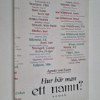 Agneta von Essen : Hur bär man ett namn? : Roman - pikkukuva 1