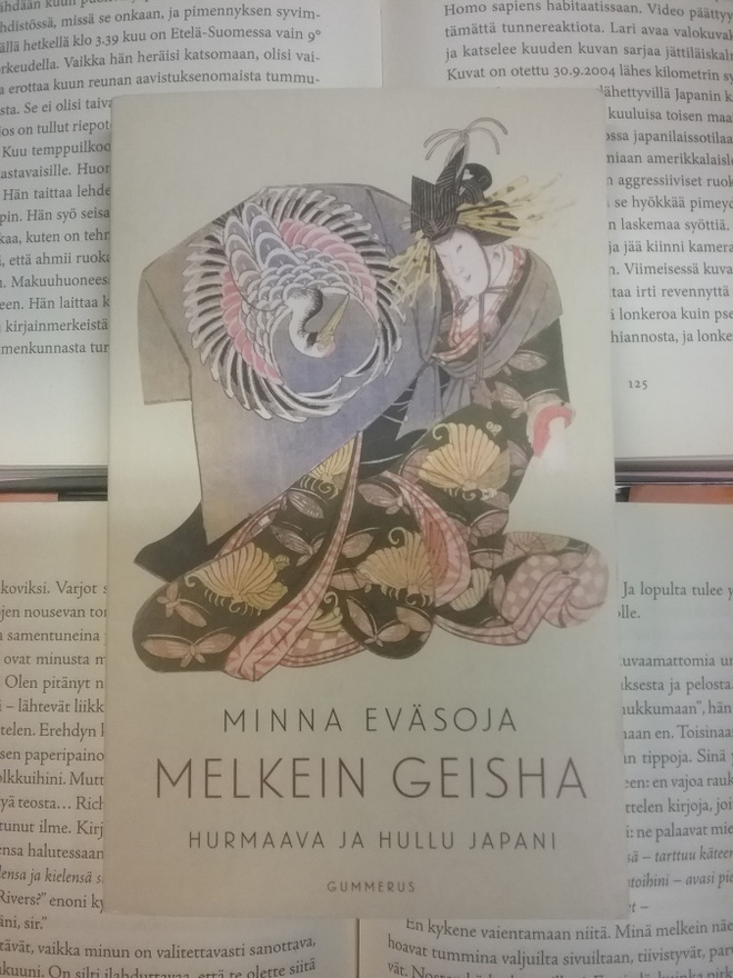 Minna Eväsoja - Melkein geisha: Hurmaava ja hullu Japani