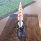 Rapala Finland Magnum 10cm Pearl Orange - pikkukuva 3