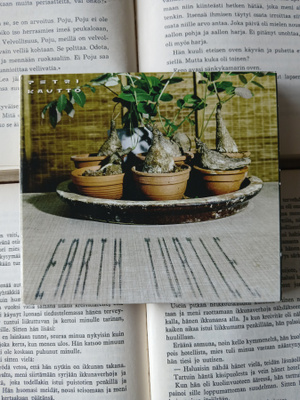 Petri Kautto - Earth Turtle (CD)